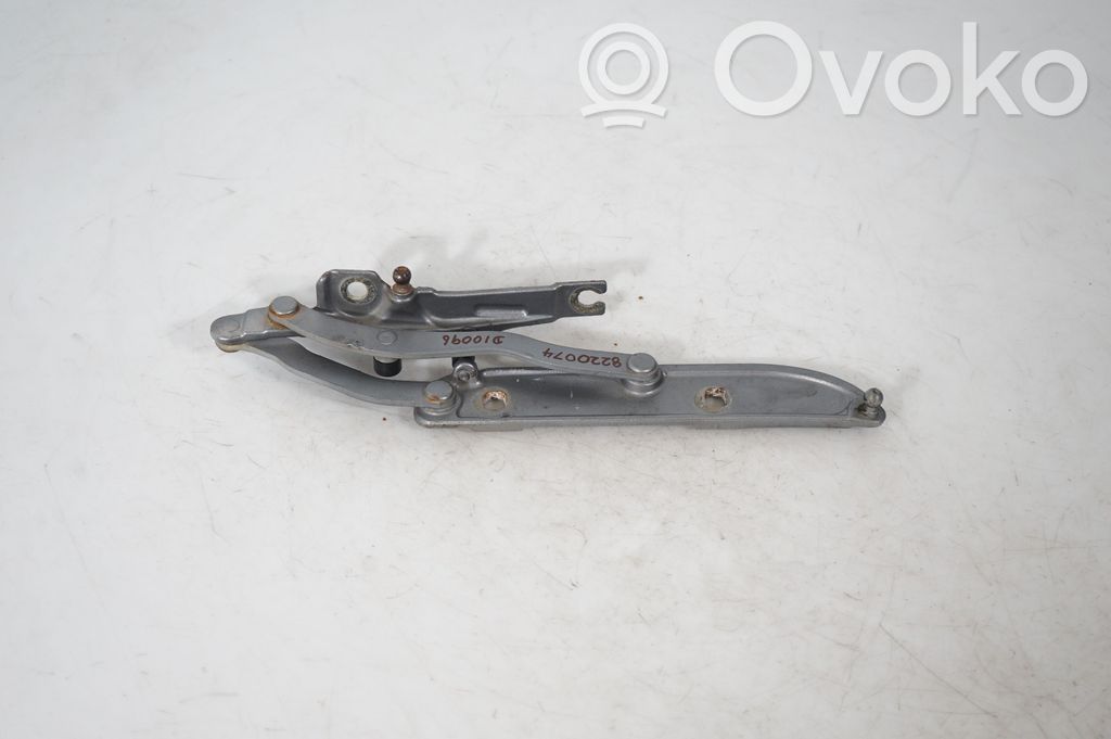 Tailgate/trunk/boot hinge (3)