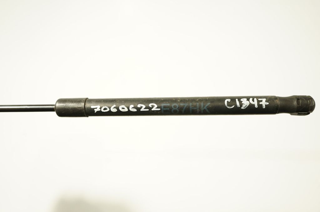 Tailgate/trunk strut/damper (8)