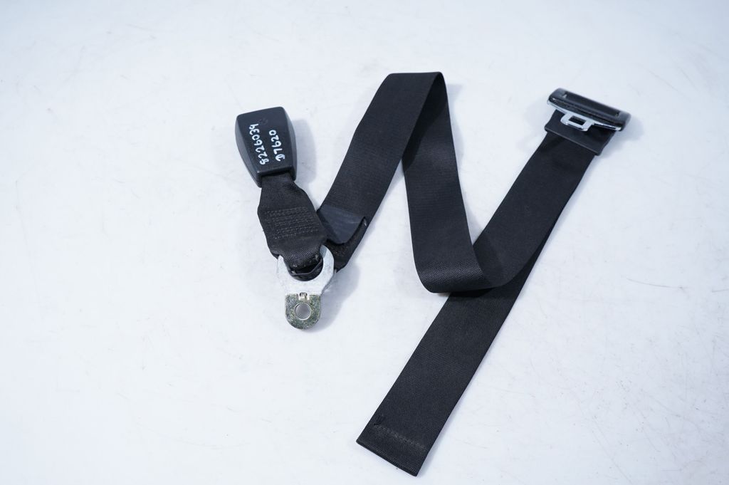 Rear seatbelt buckle (9)
