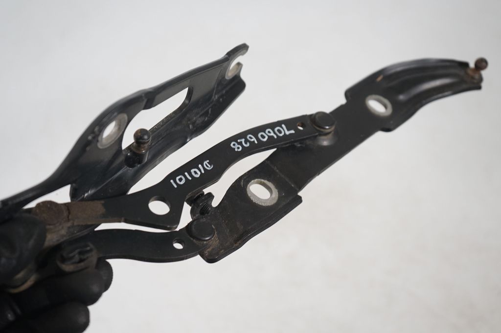 Tailgate/trunk/boot hinge (6)