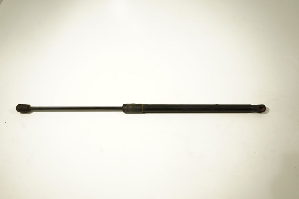 Tailgate/trunk strut/damper
