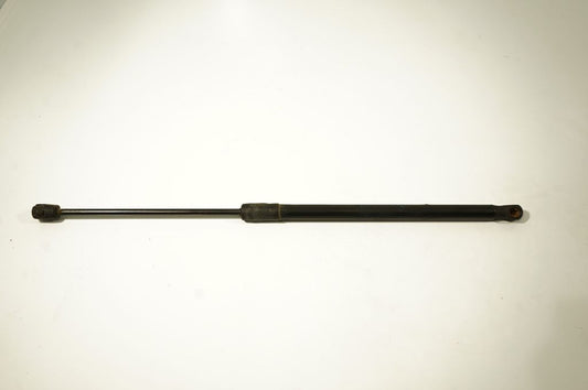 Tailgate/trunk strut/damper