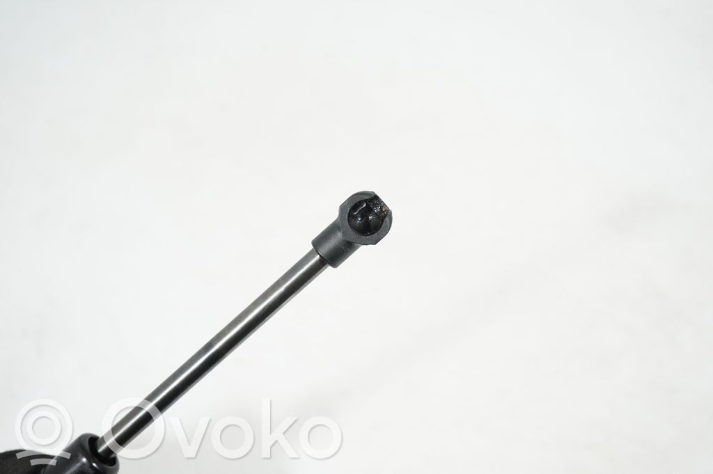 Tailgate/trunk strut/damper (5)