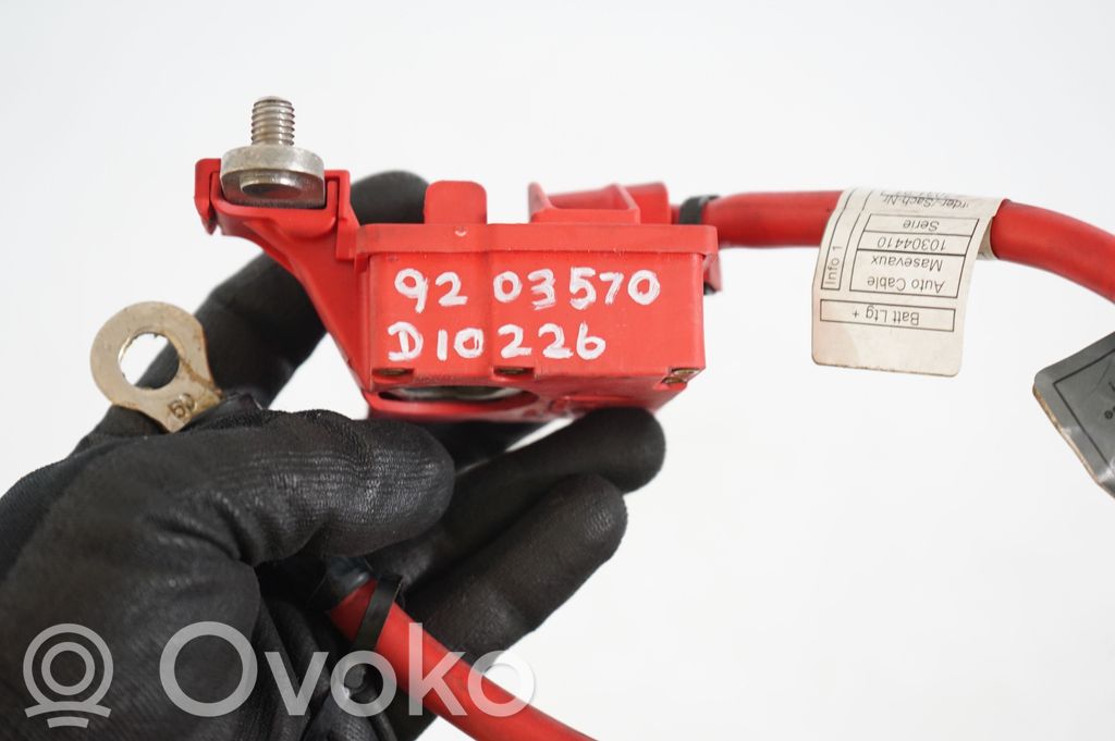 Positive cable (battery) (9)