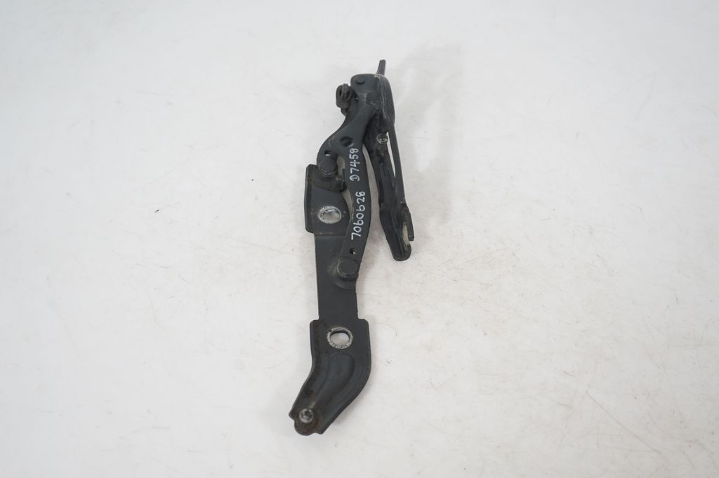 Tailgate/trunk/boot hinge (4)