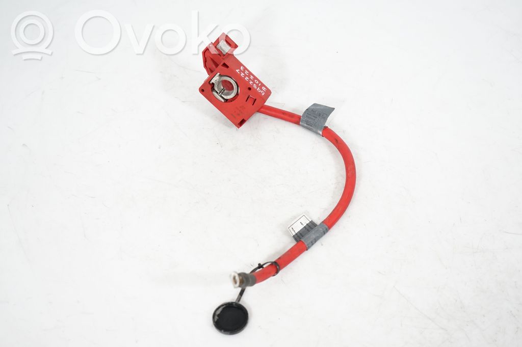 Positive cable (battery) (2)