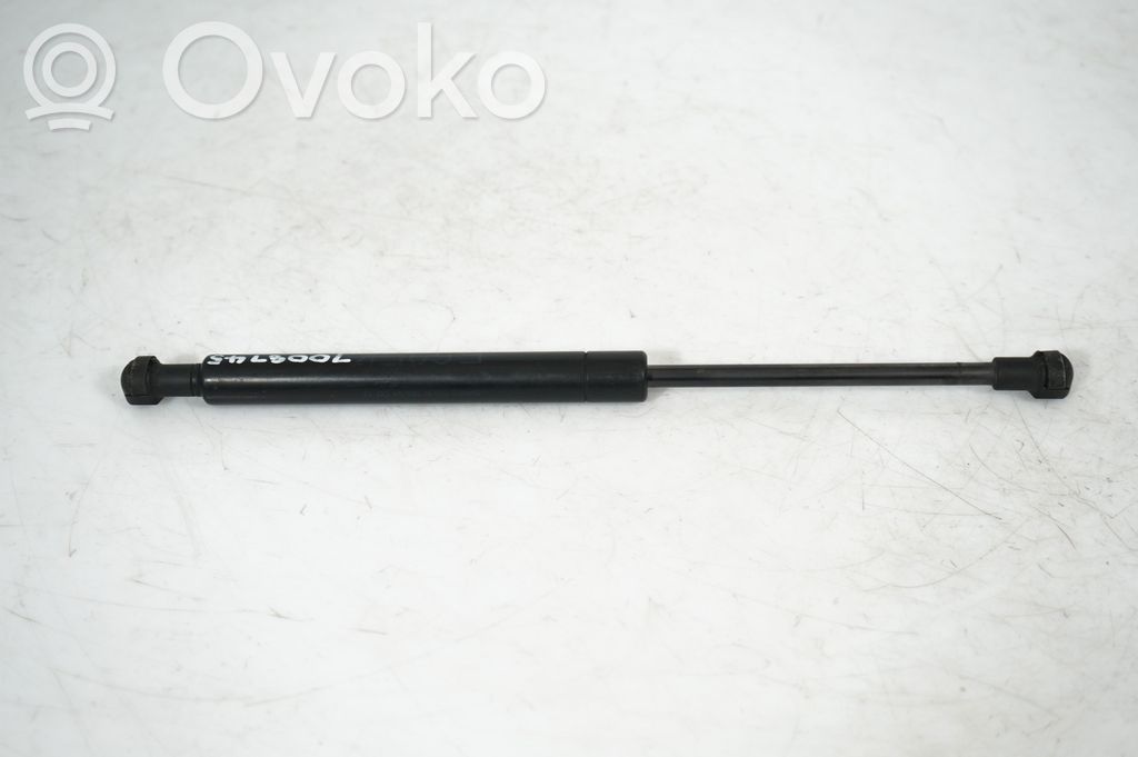 Front bonnet/hood damper/strut (3)