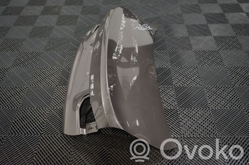 Tailgate/trunk/boot lid (2)