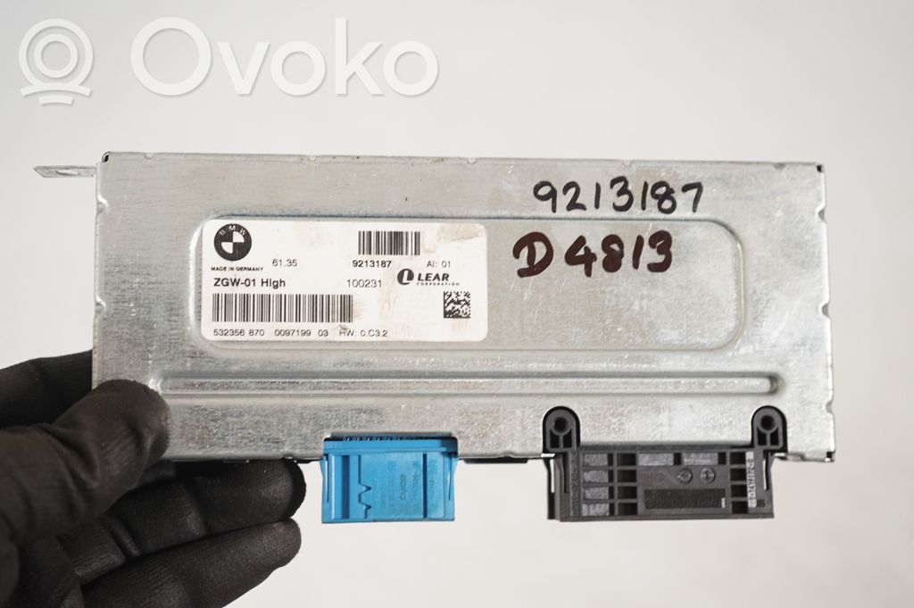 Door central lock control unit/module (8)