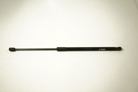 Tailgate/trunk strut/damper