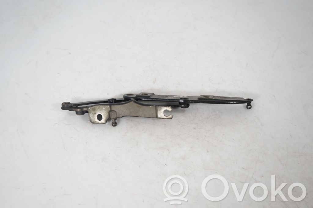 Tailgate/trunk/boot hinge (5)