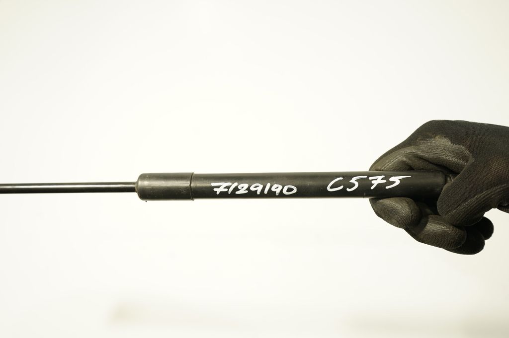 Front bonnet/hood damper/strut (8)