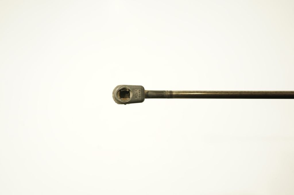Tailgate/trunk strut/damper (6)