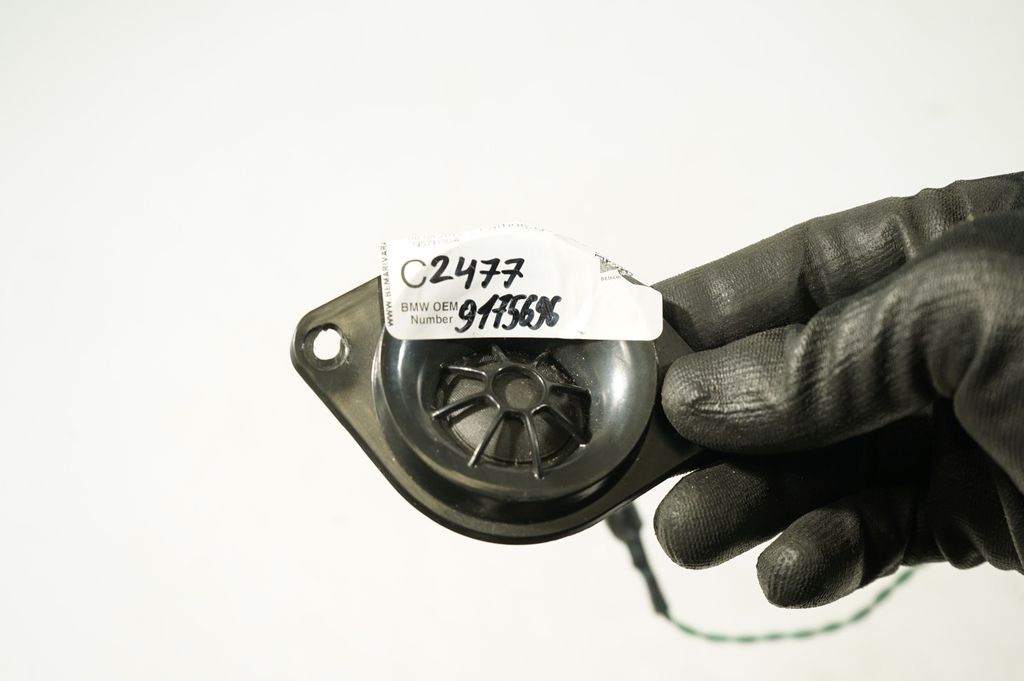 Front door speaker (9)