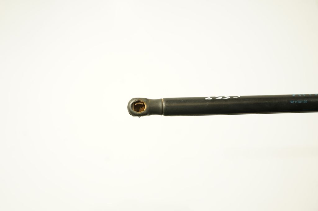 Tailgate/trunk strut/damper (8)