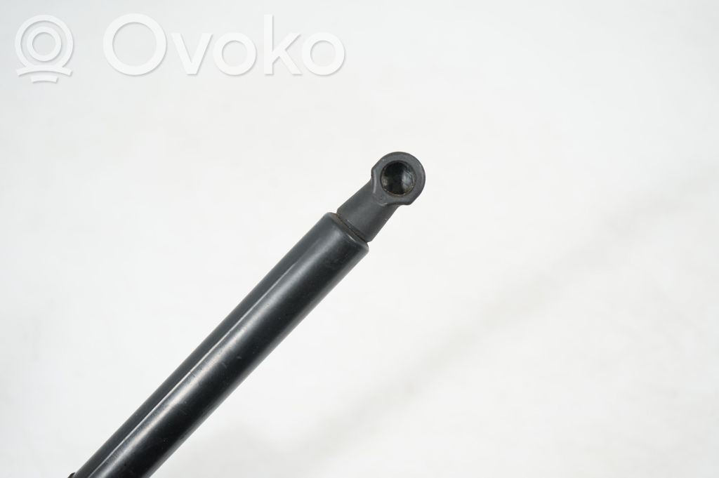 Front bonnet/hood damper/strut (6)