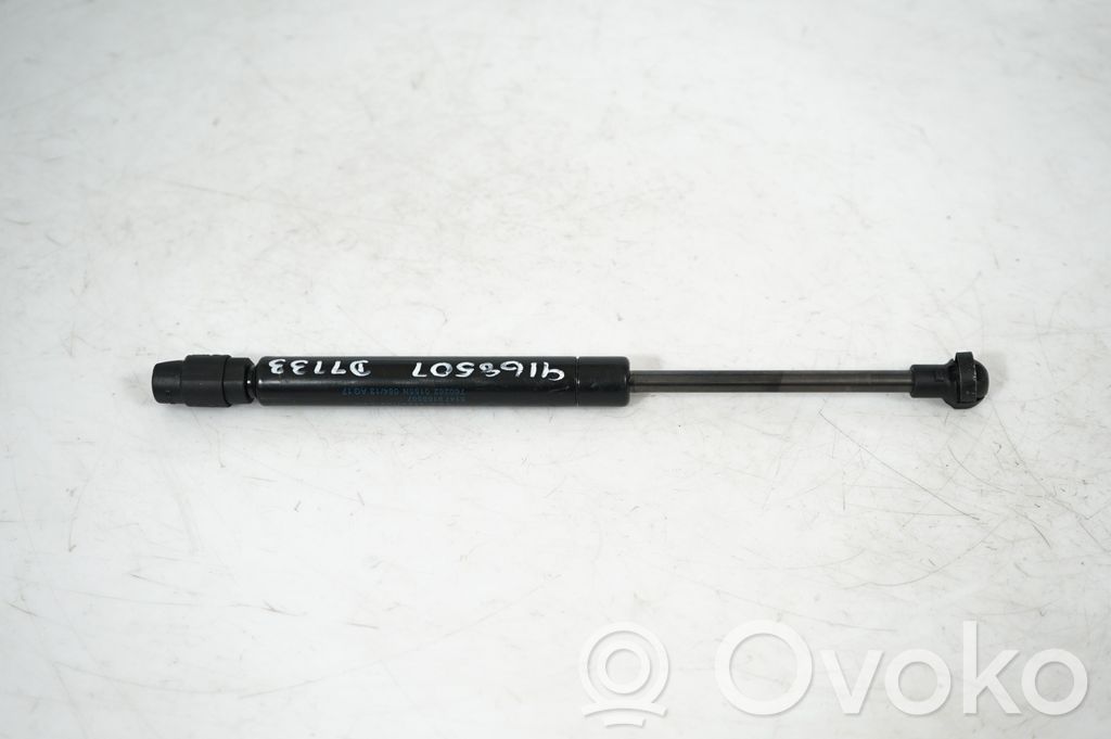 Tailgate/trunk strut/damper (3)