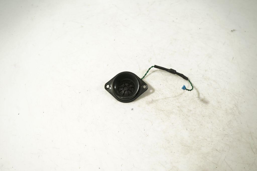 Front door speaker (5)