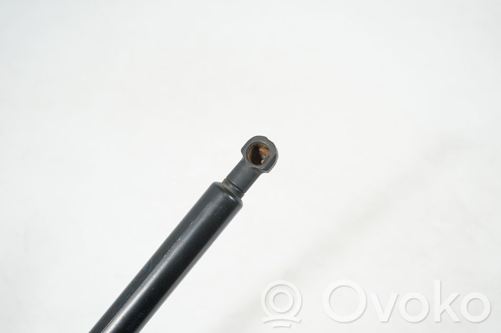 Front bonnet/hood damper/strut (6)