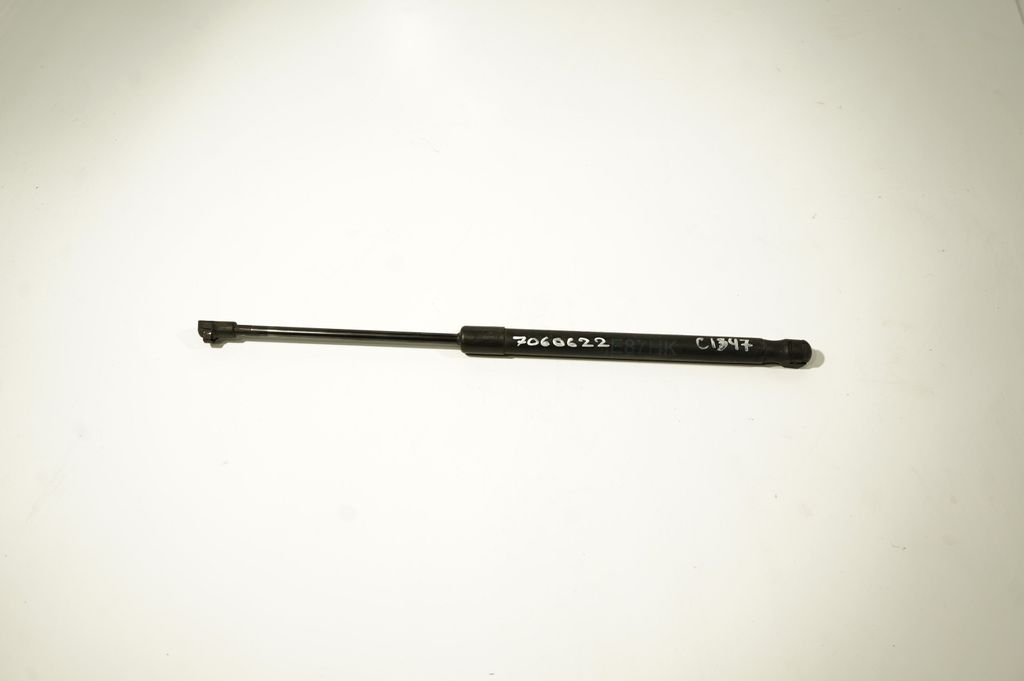 Tailgate/trunk strut/damper (4)