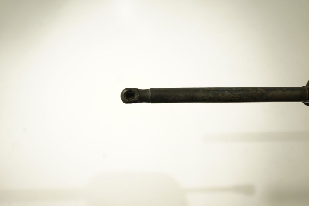 Tailgate/trunk strut/damper (7)
