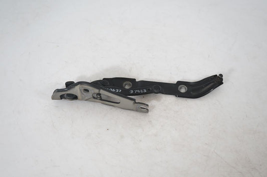 Tailgate/trunk/boot hinge