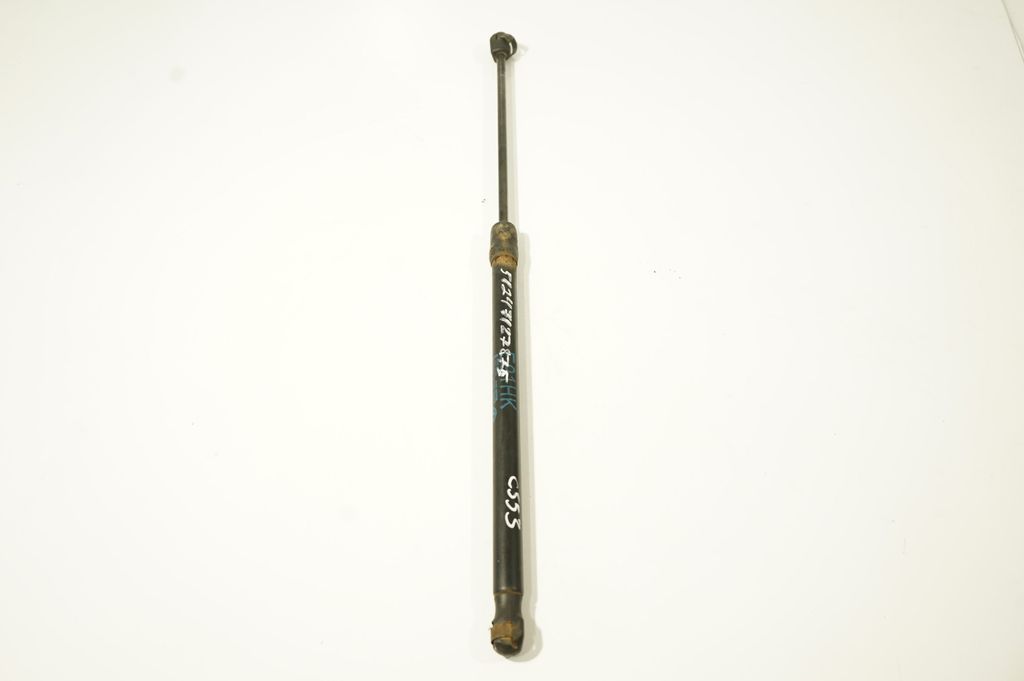 Tailgate/trunk strut/damper (2)