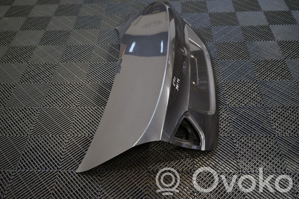 Tailgate/trunk/boot lid (4)