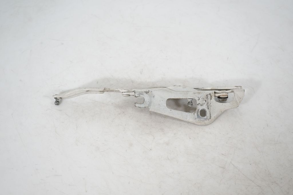 Tailgate/trunk/boot hinge (5)
