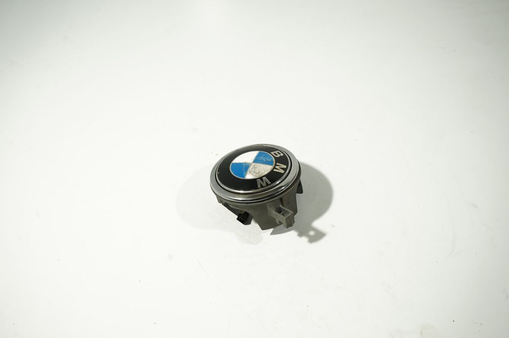 Tailgate/trunk/boot exterior handle (2)