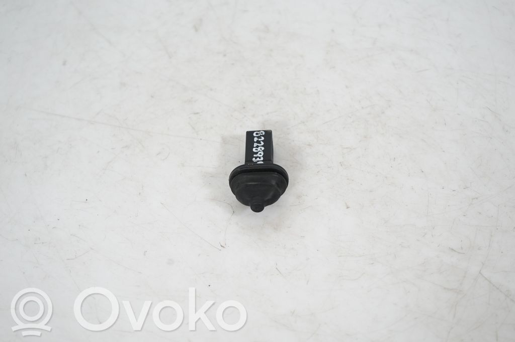 Fuel tank cap lock (2)