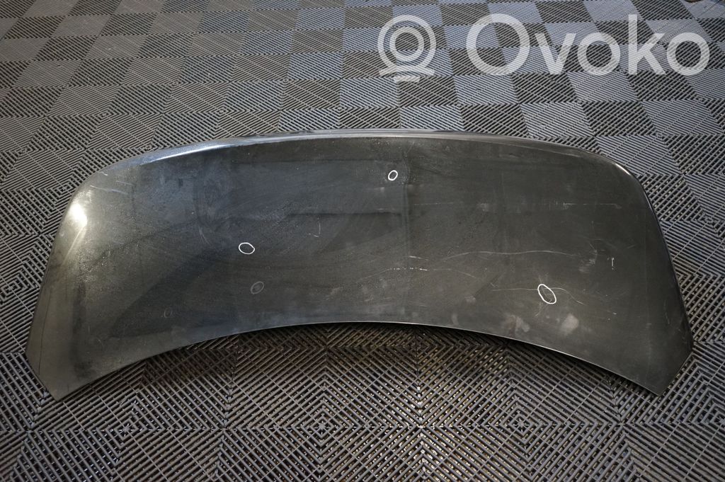 Tailgate/trunk/boot lid (3)