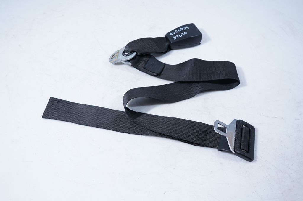 Rear seatbelt buckle (6)