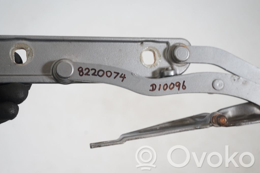 Tailgate/trunk/boot hinge (8)