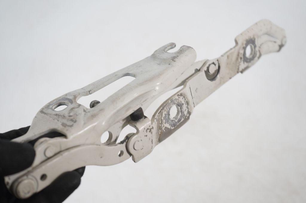Tailgate/trunk/boot hinge (7)