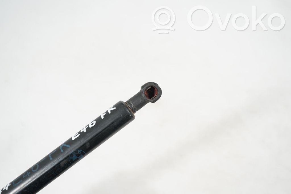 Front bonnet/hood damper/strut (7)