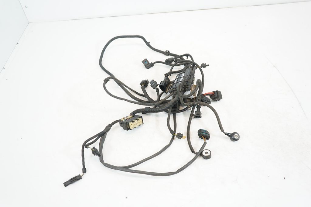 Engine installation wiring loom (2)