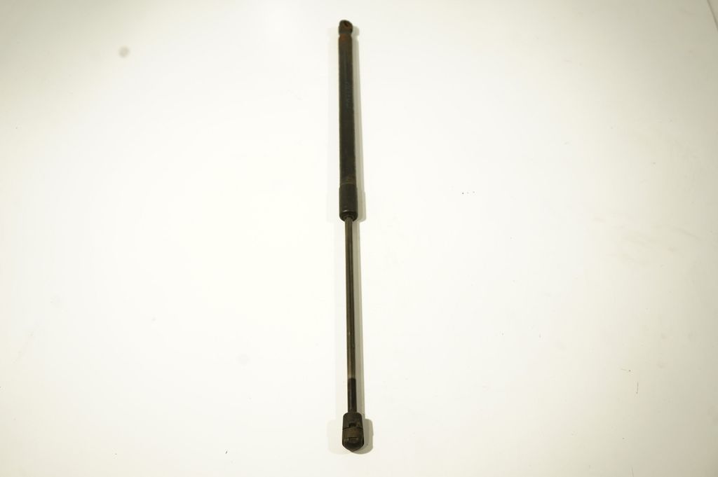 Tailgate/trunk strut/damper (4)