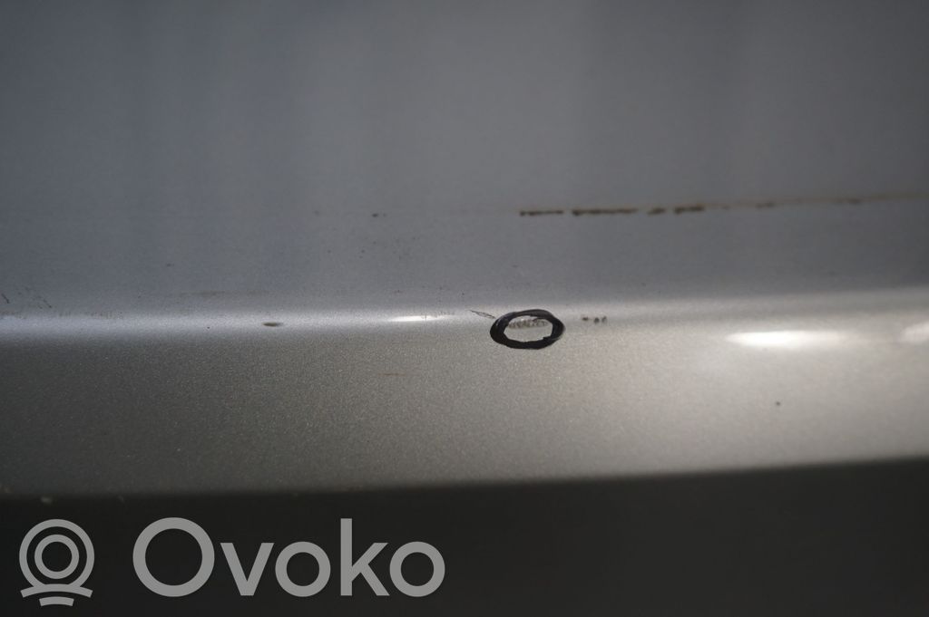 Tailgate/trunk/boot lid (7)