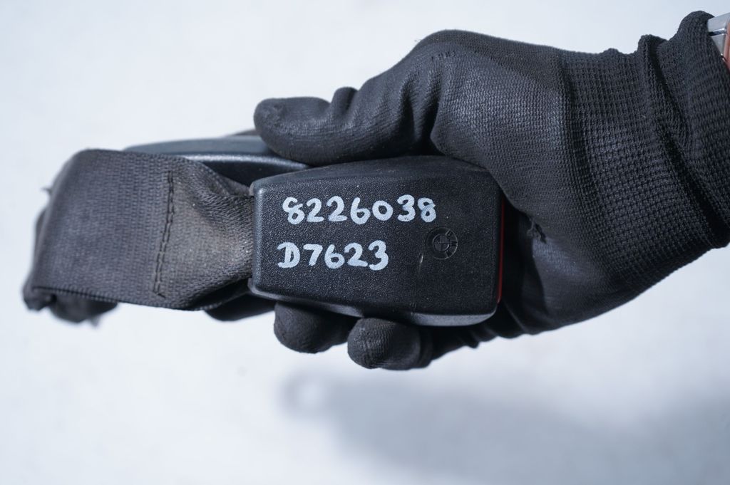 Middle seatbelt buckle (rear) (7)