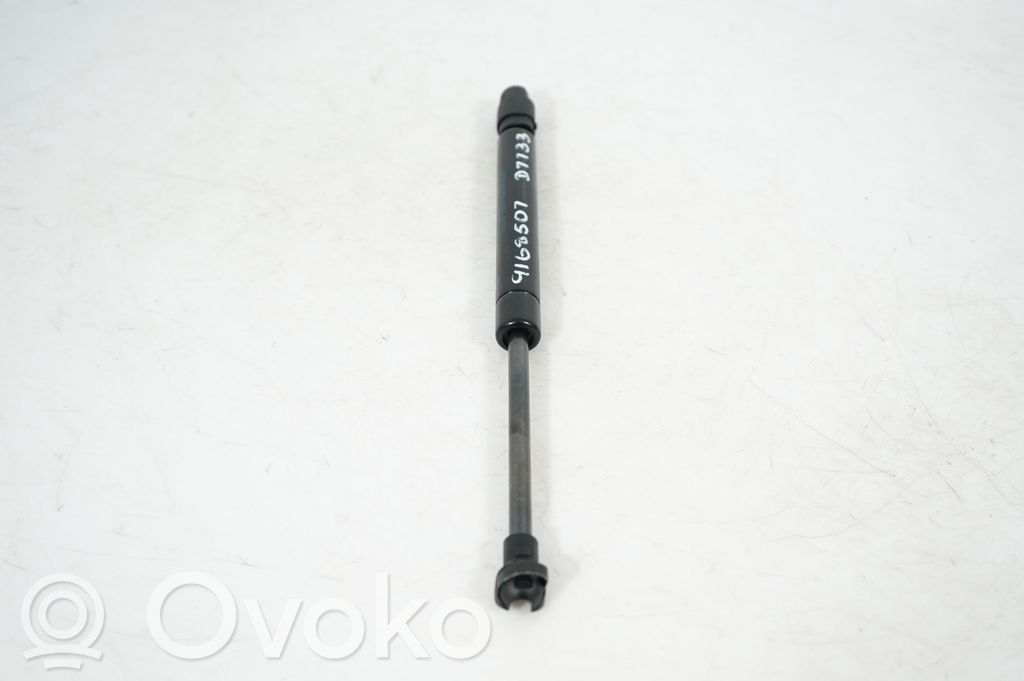 Tailgate/trunk strut/damper (4)