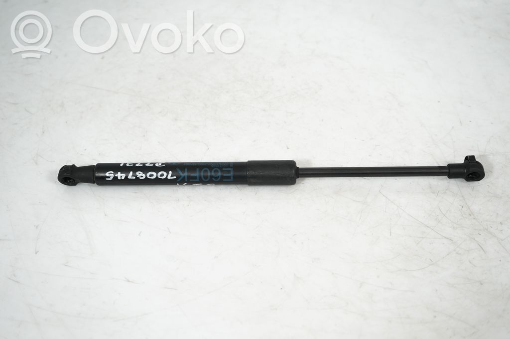 Front bonnet/hood damper/strut (3)