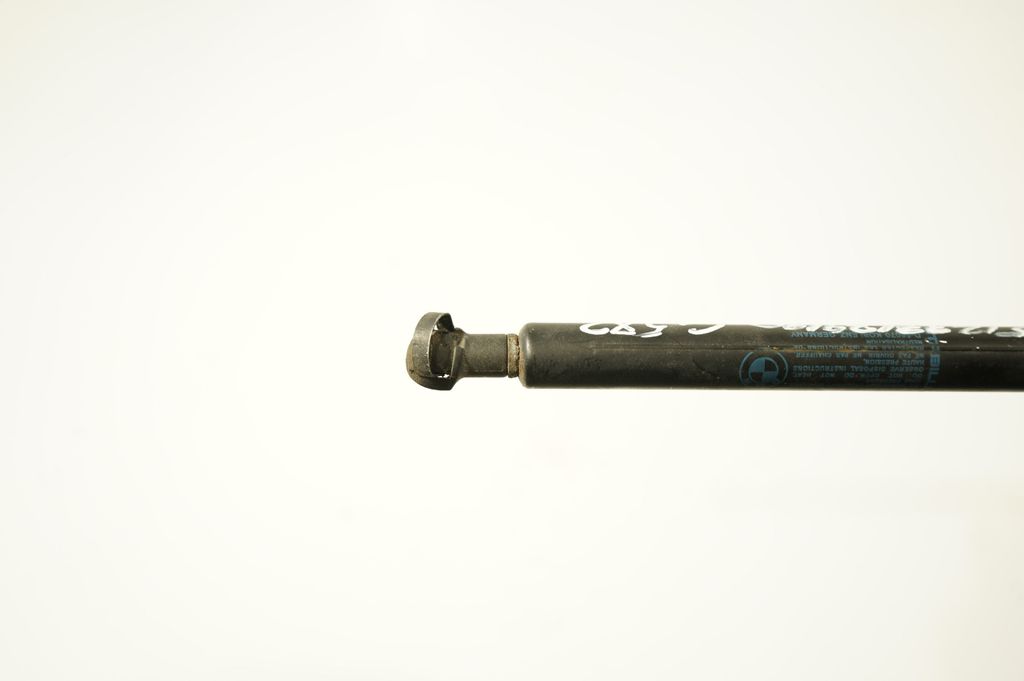Front bonnet/hood damper/strut (8)