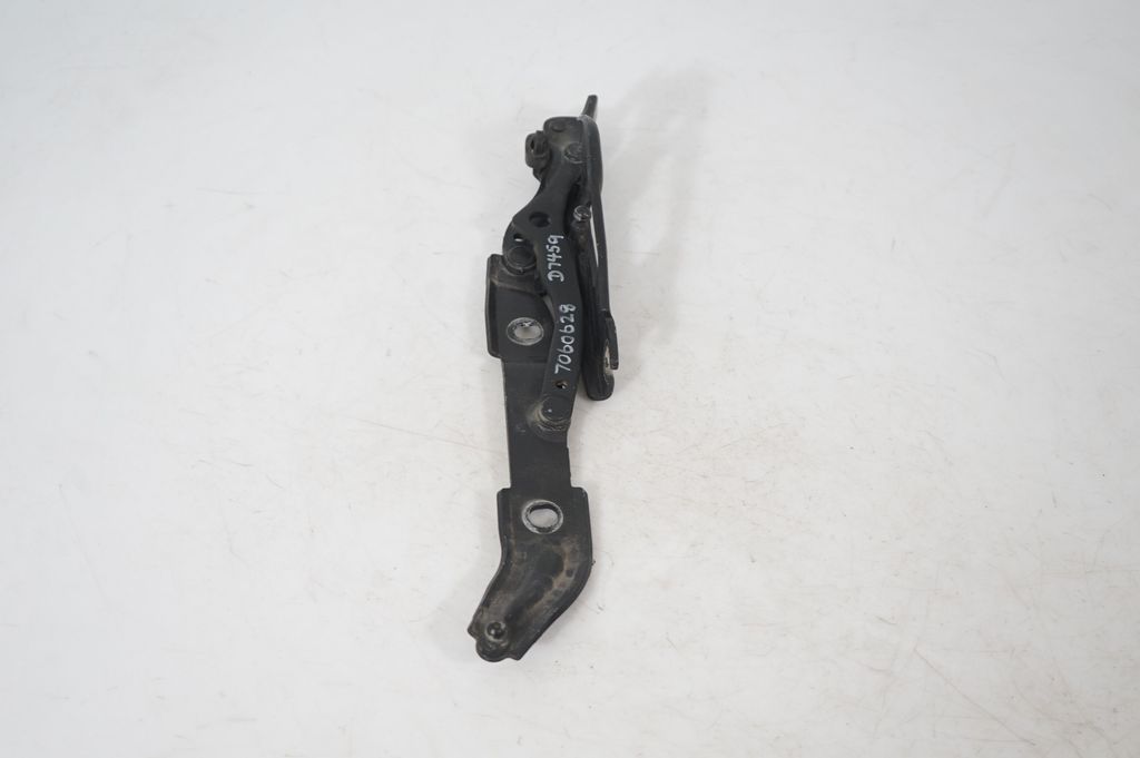 Tailgate/trunk/boot hinge (4)