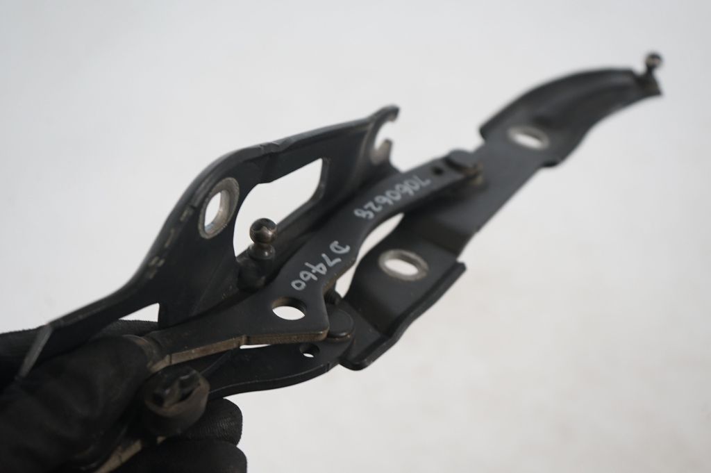 Tailgate/trunk/boot hinge (6)