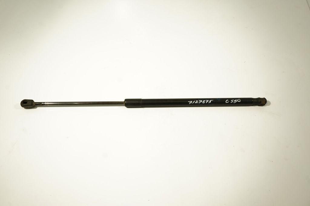 Tailgate/trunk strut/damper