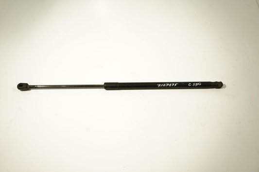 Tailgate/trunk strut/damper
