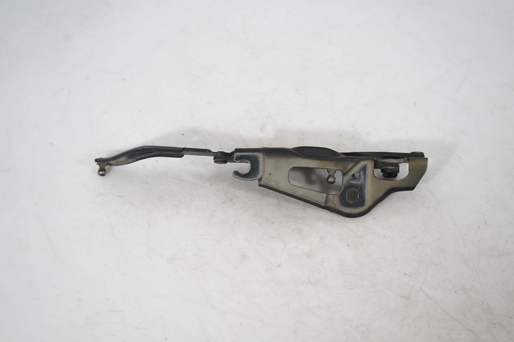 Tailgate/trunk/boot hinge (5)