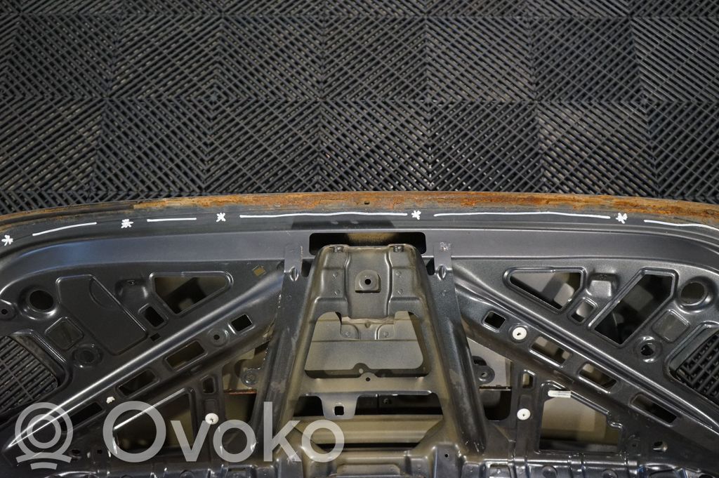 Tailgate/trunk/boot lid (8)