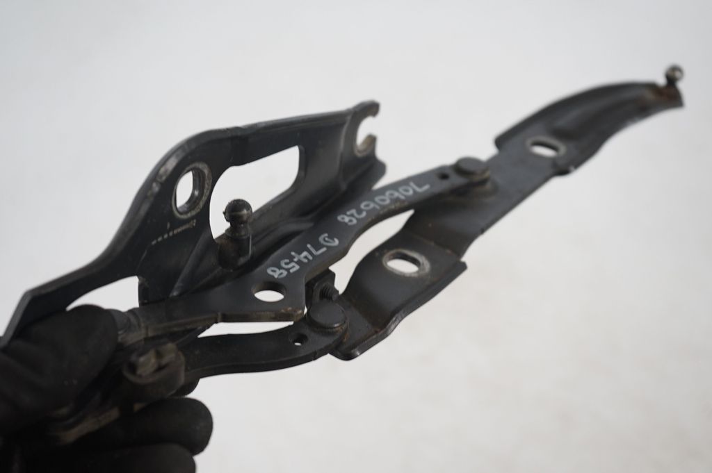 Tailgate/trunk/boot hinge (6)